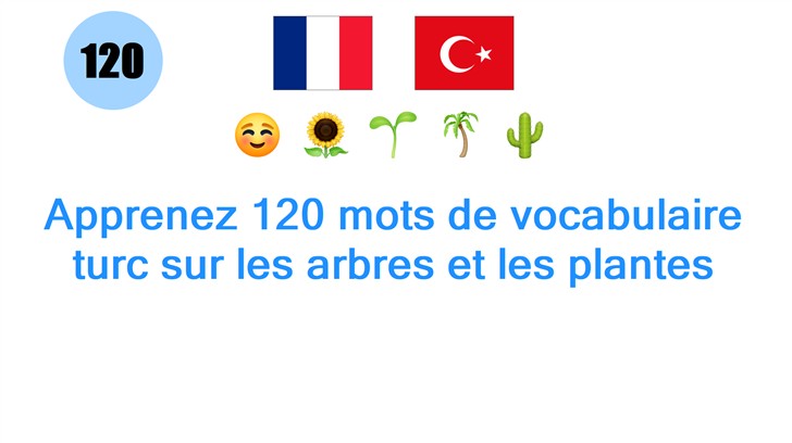 Apprenez 120 mots de vocabulaire turc sur les arbres et les plantes